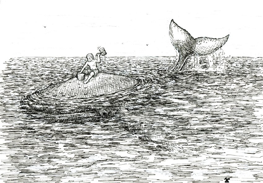 tepee-160922-baleine-marteau-resized